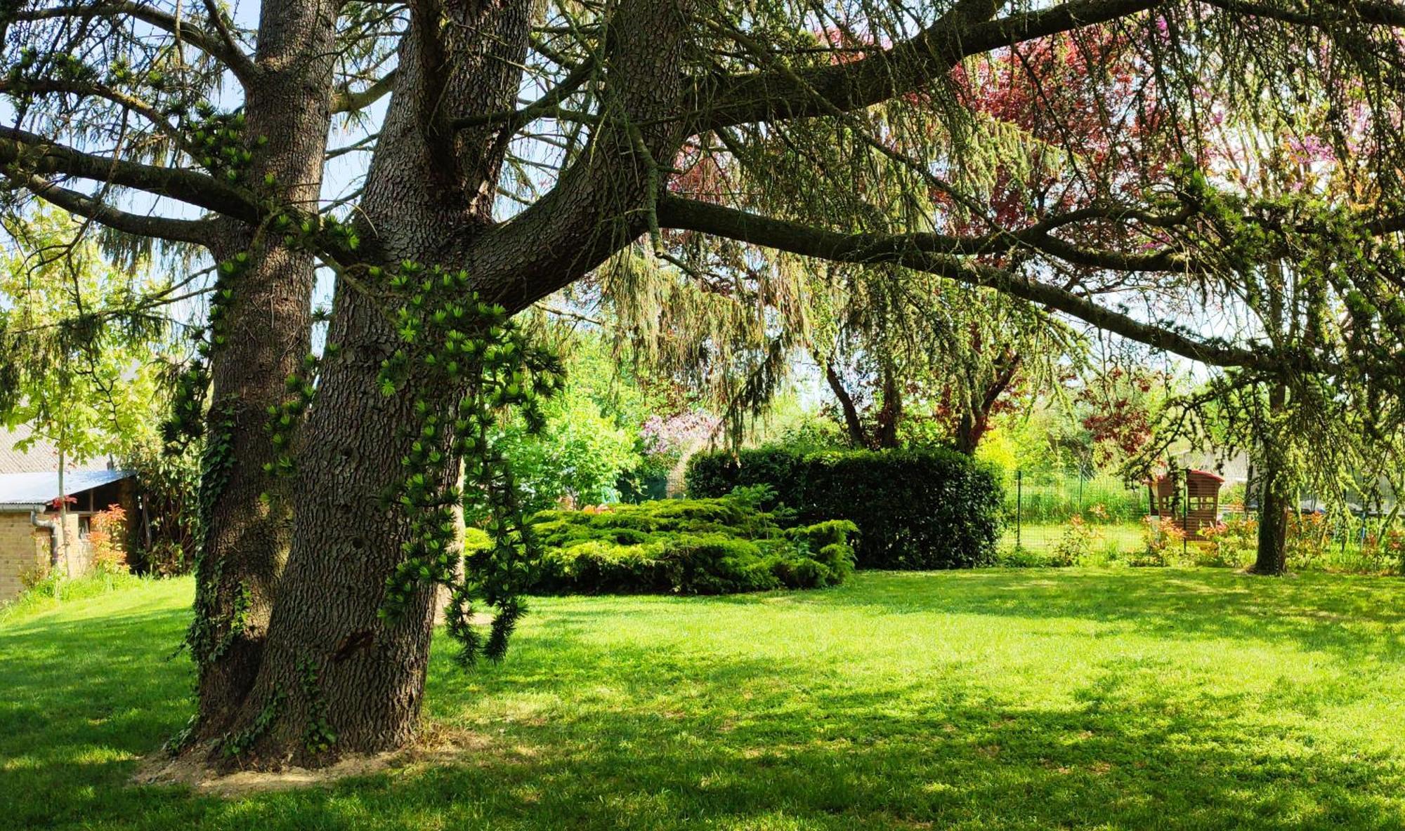 Hedoniste 1 Villa Herpy-l'Arlesienne Bagian luar foto