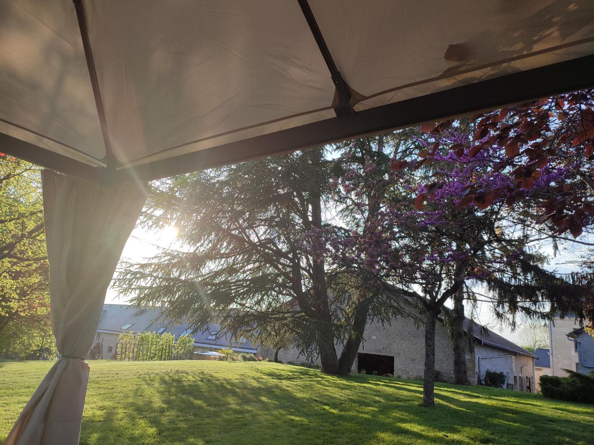 Hedoniste 1 Villa Herpy-l'Arlesienne Bagian luar foto